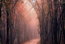 港城大推出单独招生政策 打造内地学子赴港升学新通道