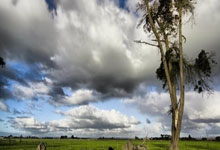 港城大推出单独招生政策 打造内地学子赴港升学新通道