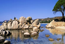 港城大推出单独招生政策 打造内地学子赴港升学新通道